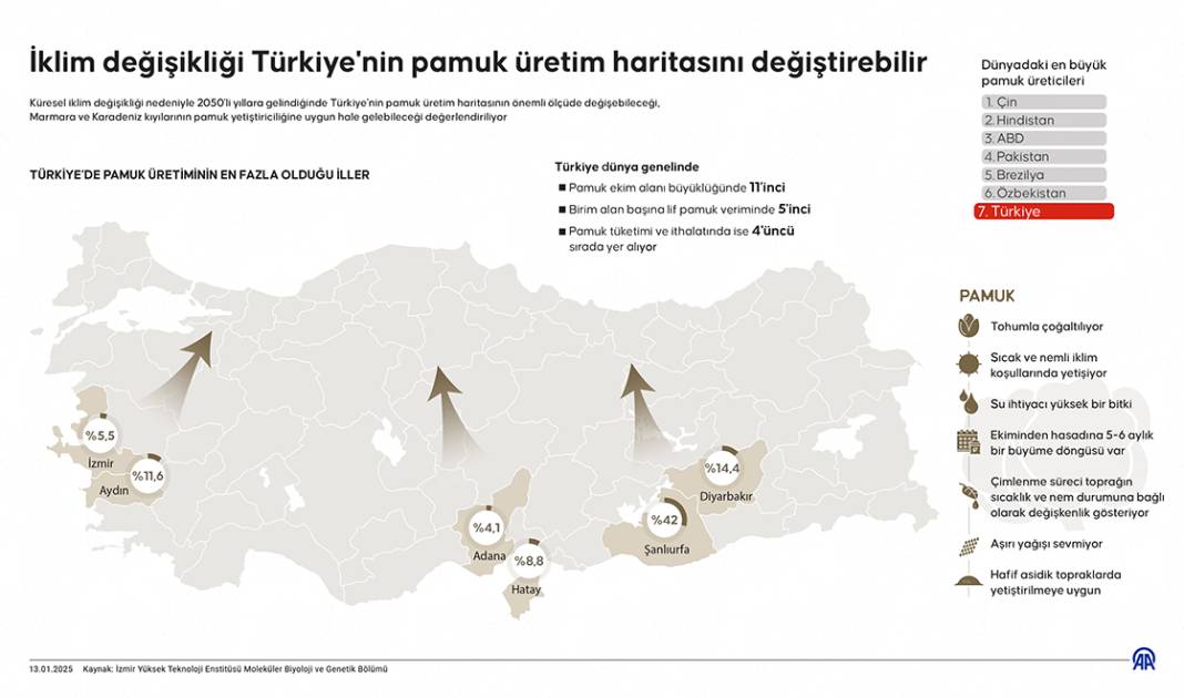 İklim değişikliği Türkiye'nin pamuk üretim haritasını değiştirebilir 1